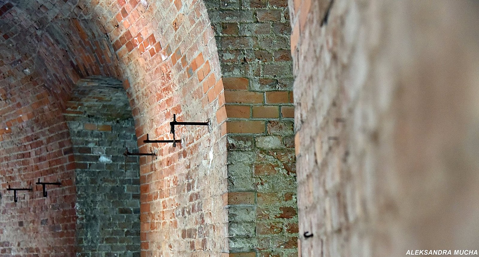 Bieg Twierdzy Kraków - Benedykt