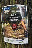 Bieg Twierdzy Krak&oacute;w - Las Witkowicki
