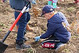 2019 10 29 Sadzenie lasu